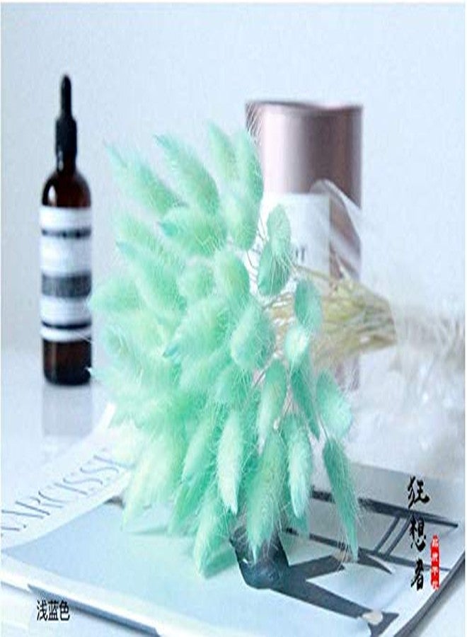 اوكيي زهور مجففة من نوع Lagurus Ovatus (ذيل الأرنب) لتزيين المنزل من OUKEYI، زهور حقيقية، عشب مجفف يدوم طويلاً، باقة زهور، دعائم تصوير من مواد طبيعية، 50 قطعة (أزرق تيف) - Image 2