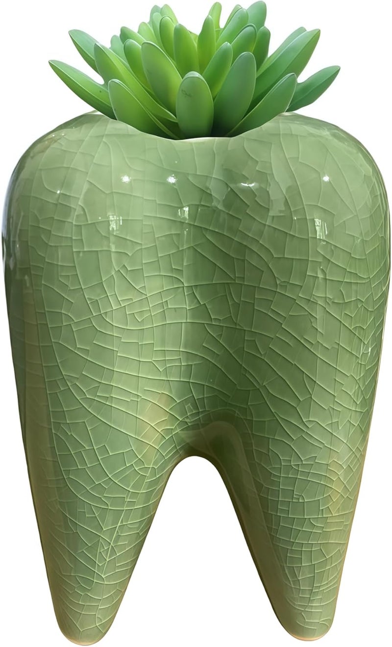 Cuteforyou 3.95 inch Cute Tooth Shaped Ceramic Succulent Cactus Flower Pot-Plants Not Included (Crackle Glaze Green) - Image 2