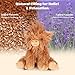 SuzziPals Heatable Coolable Weighted Highland Cow Stuffed Animal Microwavable Stuffed Animals Peirod Heating Pad for Cramps Cuddly Soft Plushies for Warmth Companion Highland Cow Gifts for Women - Image 4
