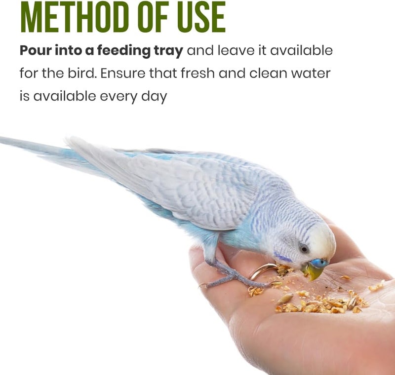 BRANDSFINITY Premium Bird Food For Love Bird And Parakeet - Image 5