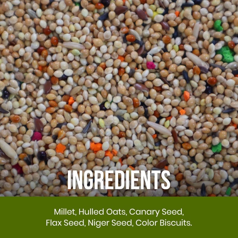 BRANDSFINITY Premium Bird Food For Love Bird And Parakeet - Image 2