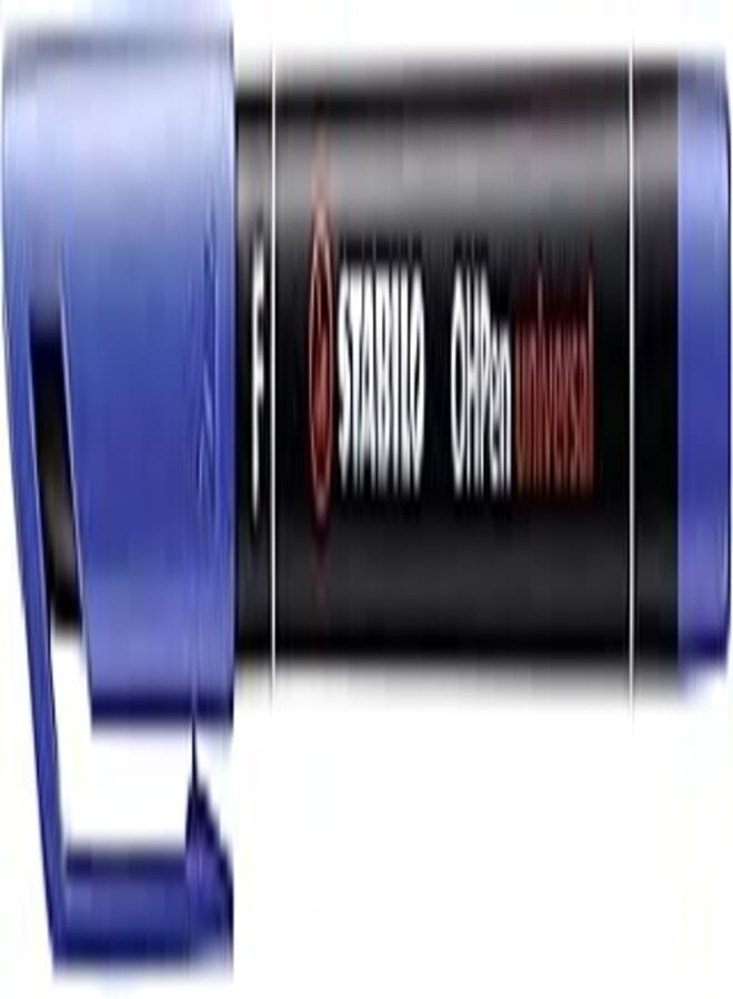 Stabilo OHPen Universal Permanent Marker - Fine 0.7 mm. - Blue