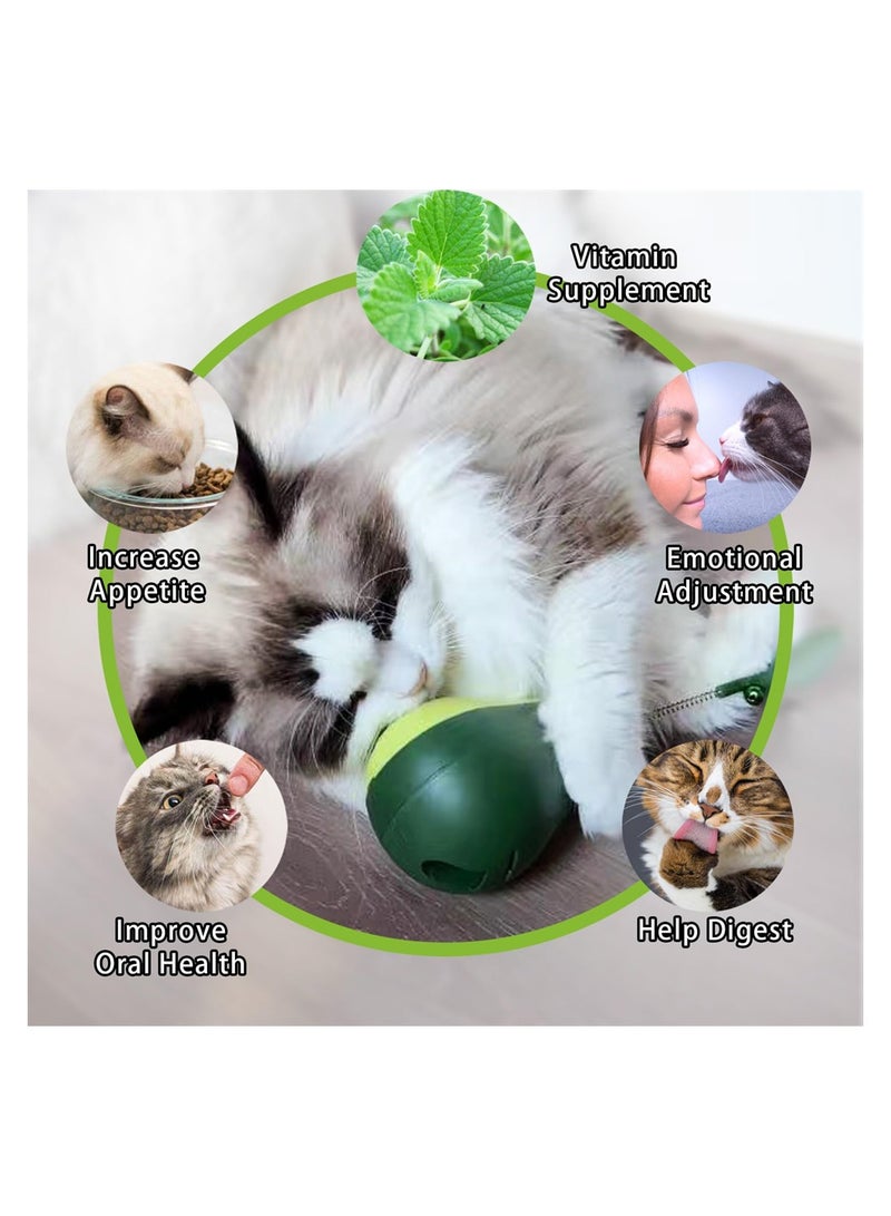 Excefore Interactive Cat Toy 3-in-1 Catnip Toys for Cats with Spring Cat Toy Wand and Cat Treat Dispenser Tumbler Interactive Cat Toys for Indoor Cats Funny Kitten Treats - Image 4