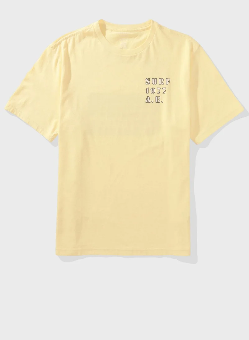 American Eagle Embroidered Graphic Crew Neck T-Shirt