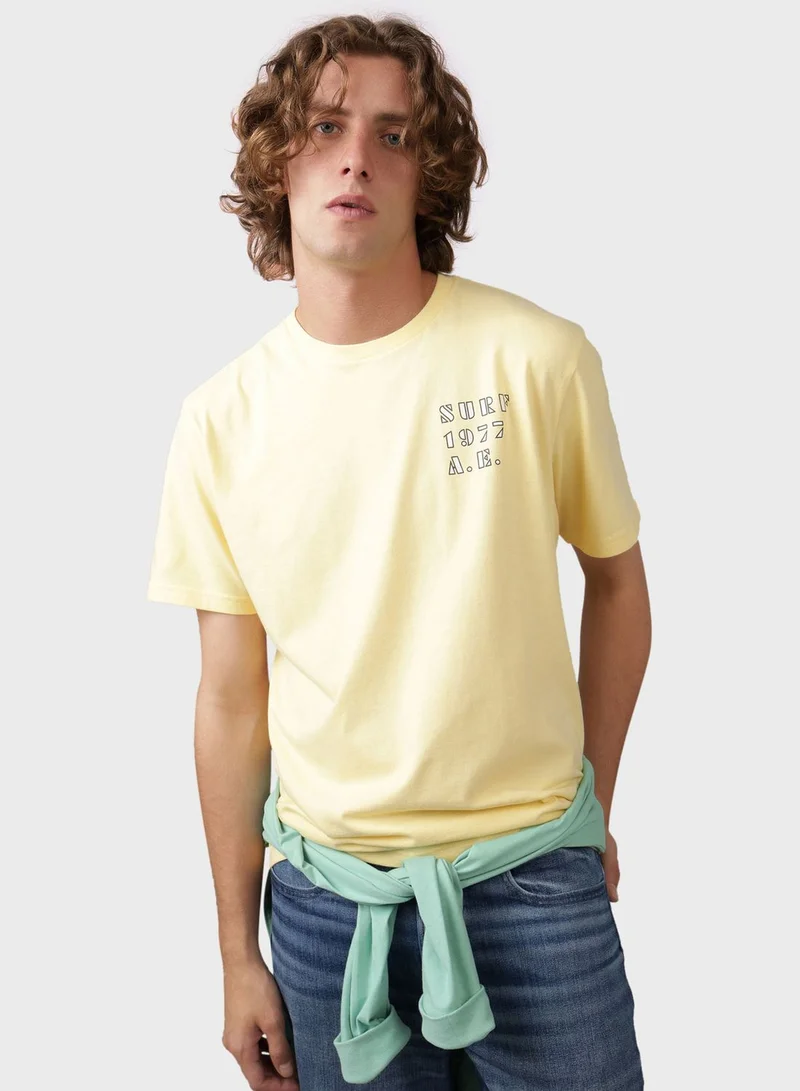 American Eagle Embroidered Graphic Crew Neck T-Shirt