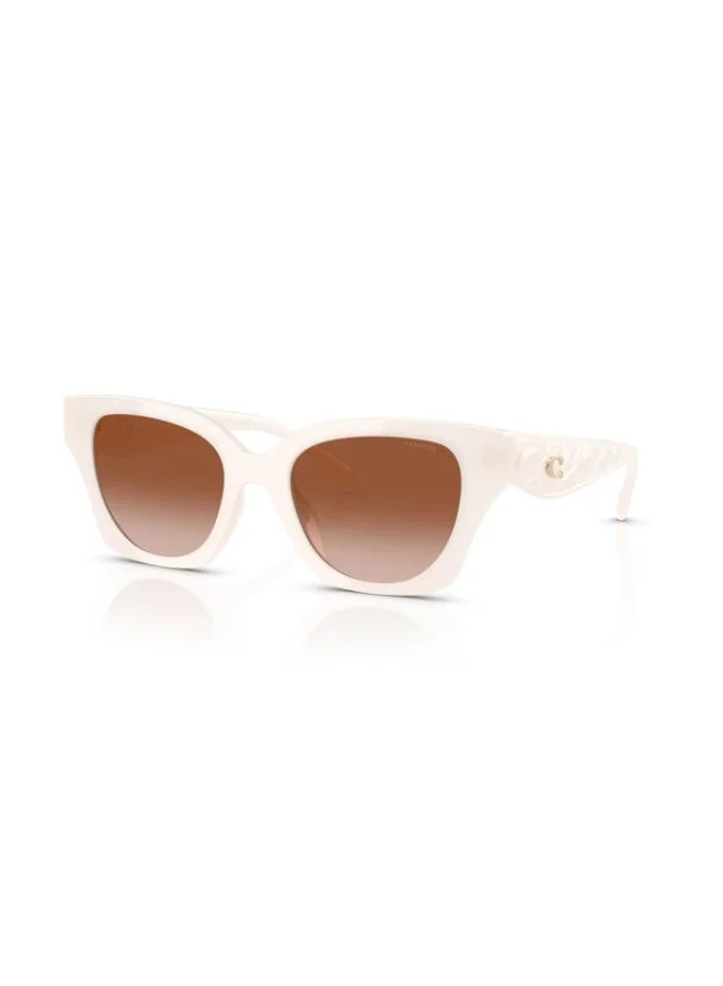 COACH Coach Woman Injected Sunglasses
