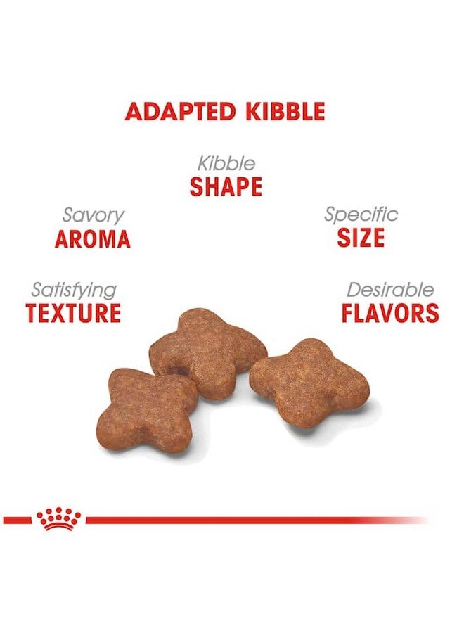 رويال كانين طعام جاف للكلاب الصغيرة من رويال كانين سايز هيلث نيوتريشن، ٨+، كيس ٢.٥ رطل - Image 4