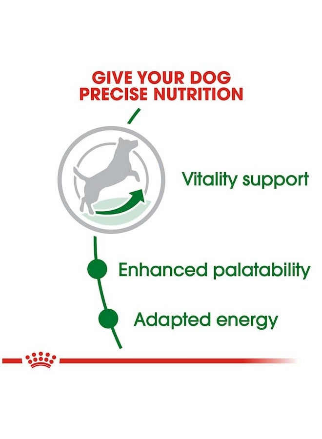 رويال كانين طعام جاف للكلاب الصغيرة من رويال كانين سايز هيلث نيوتريشن، ٨+، كيس ٢.٥ رطل - Image 5