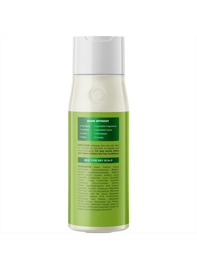 Maple Holistics Tea Tree Shampoo for Men and Women - Invigorating Tea Tree Oil Shampoo Sulfate Free with Rosemary Essential Oil - Refreshing Daily Clarifying Shampoo for Build Up plus Dry or Oily Hair and Scalp Care - Image 2