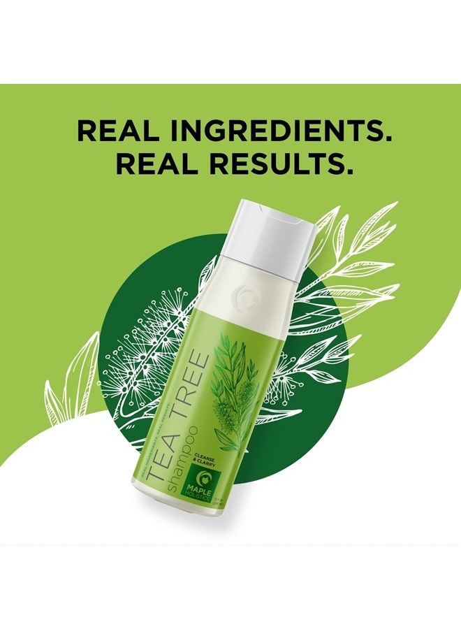 Maple Holistics Tea Tree Shampoo for Men and Women - Invigorating Tea Tree Oil Shampoo Sulfate Free with Rosemary Essential Oil - Refreshing Daily Clarifying Shampoo for Build Up plus Dry or Oily Hair and Scalp Care - Image 4