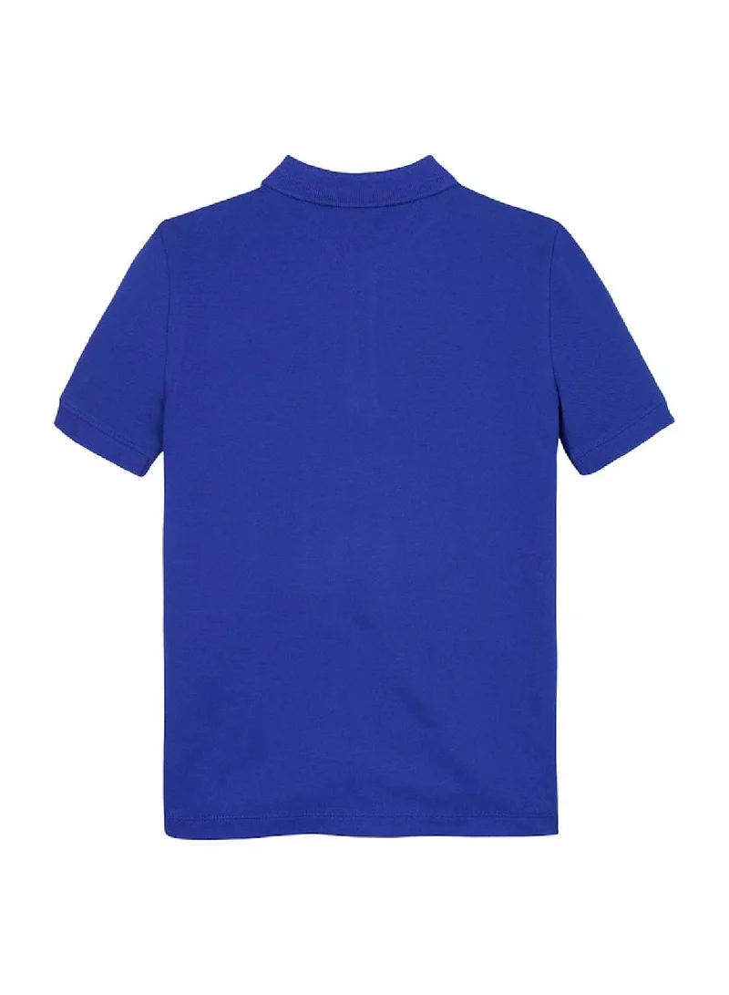 TOMMY HILFIGER Essential Flag Embroidery Regular Fit Polo