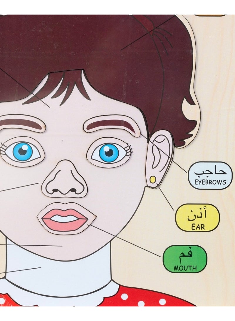 Parts of a woman's face  - Image 3