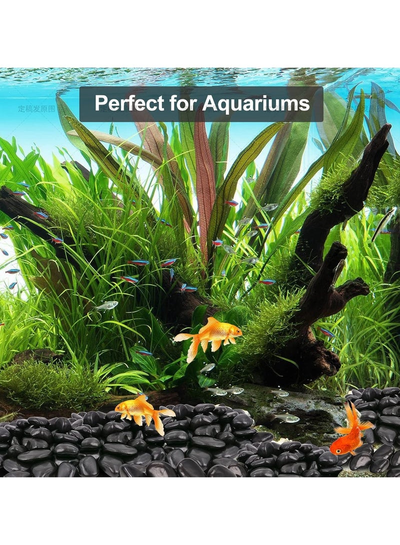 RR BRAND Black River Rocks for Landscaping-Polished Pebbles 1.5 KG for Plants-Garden Decorative Stones-1"-2" Large Plant Rocks,Ideal for Aquarium, Home Decor - Image 5