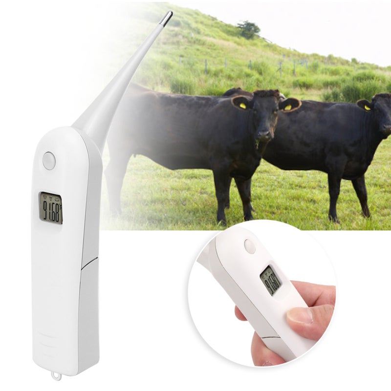 Livestock Thermometer: LCD Display, High Accuracy Metal Probe - Ergonomic Handle, Durable Build Electronic Thermometer for Pig, Cattle, Sheep, Horse Livestock - Image 1