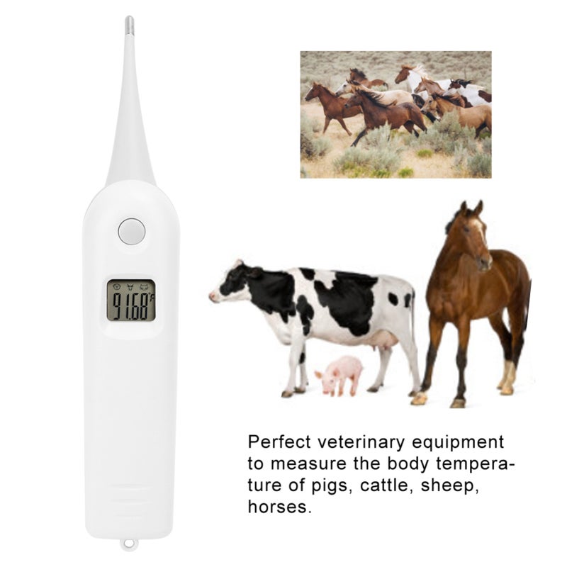 Livestock Thermometer: LCD Display, High Accuracy Metal Probe - Ergonomic Handle, Durable Build Electronic Thermometer for Pig, Cattle, Sheep, Horse Livestock - Image 4