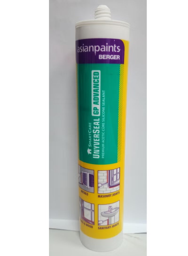 berger gp advance silicon clear