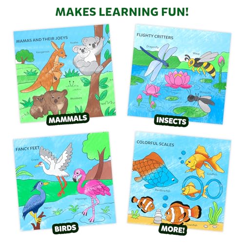 Skillmatics Colour & Learn Activity Book – Learn 160+ Animals, 12 Retractable Mess-Free Crayons & 50 Pages, Educational, Gift for Toddlers and Preschoolers Ages 3, 4, 5, 6 - Image 4