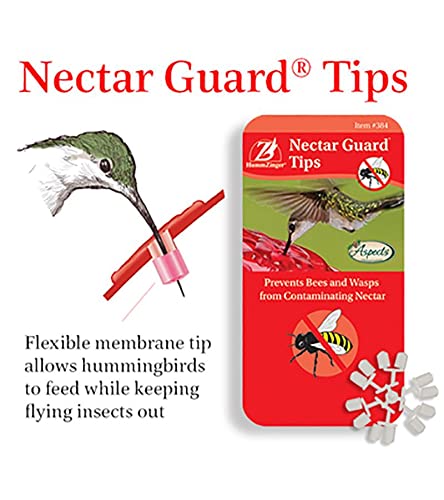 Aspects Bird Feeders Hummzinger Hummingbird Nectar Guard Tips (Pack of 2) - Image 2