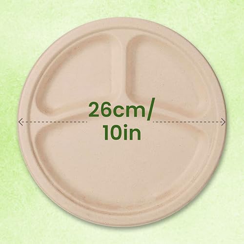Origami 10 Inches Round Disposable Bagasse Paper Plates | Strong, Eco Friendly & Biodegradable Paper Plates | Perfect for Parties, Picnics & Festive Occasions - Pack of 20 Pcs - Image 3