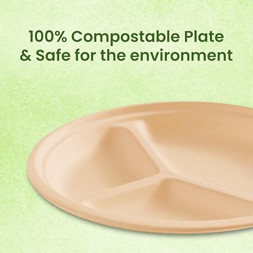 Origami 10 Inches Round Disposable Bagasse Paper Plates | Strong, Eco Friendly & Biodegradable Paper Plates | Perfect for Parties, Picnics & Festive Occasions - Pack of 20 Pcs - Image 5