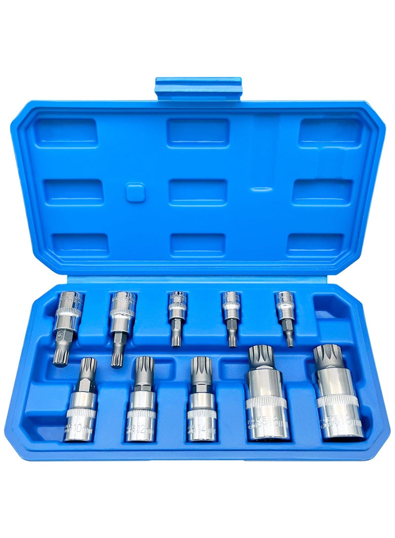 XZN Triple Square Spline Bit Socket Set, 10 Piece, M4 to M18, Includes 1/2, 1/4, and 3/8 Inch Drive, Premium S2 and Cr V Steel  - Image 1