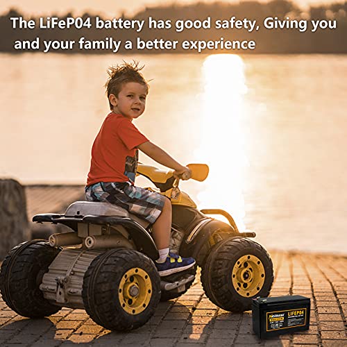 Nermak 2 Pack 12V 10Ah Lithium Ion LiFePO4 Deep Cycle Battery, 2000+ Cycles Rechargeable Battery for Solar/Wind Power, Scooters, Lighting, Power Wheels, Fish Finder Built-in 10A BMS - Image 5