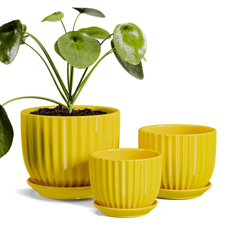 Ton Sin Ceramic Flower Pots,Yellow Plant Pots for Indoor Plants,4.1+5.1+6.5 inch Ceramic Plant Pots with Tray,Medium Indoor Planters for Aloe Cactus Decorative Pots with Drainage Hole (Set of 3) - Image 1