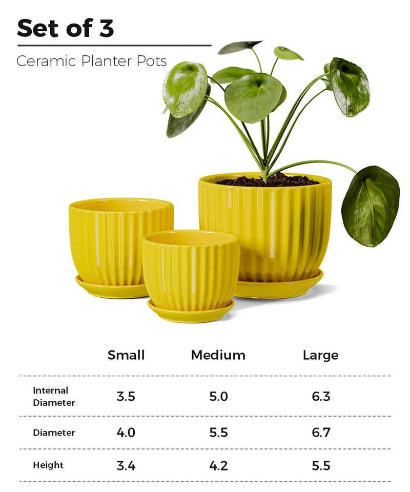 Ton Sin Ceramic Flower Pots,Yellow Plant Pots for Indoor Plants,4.1+5.1+6.5 inch Ceramic Plant Pots with Tray,Medium Indoor Planters for Aloe Cactus Decorative Pots with Drainage Hole (Set of 3) - Image 3