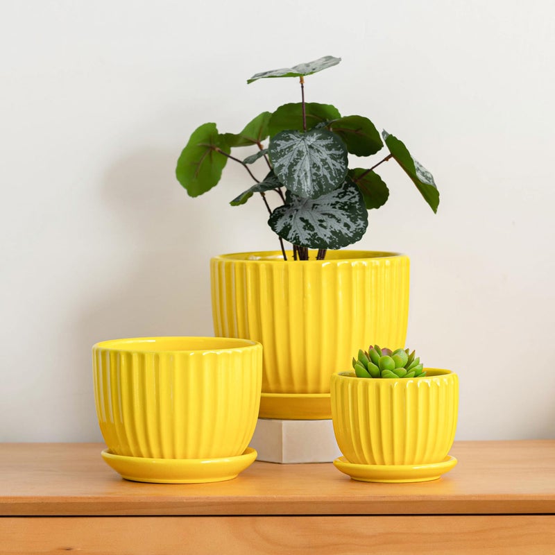 Ton Sin Ceramic Flower Pots,Yellow Plant Pots for Indoor Plants,4.1+5.1+6.5 inch Ceramic Plant Pots with Tray,Medium Indoor Planters for Aloe Cactus Decorative Pots with Drainage Hole (Set of 3) - Image 5