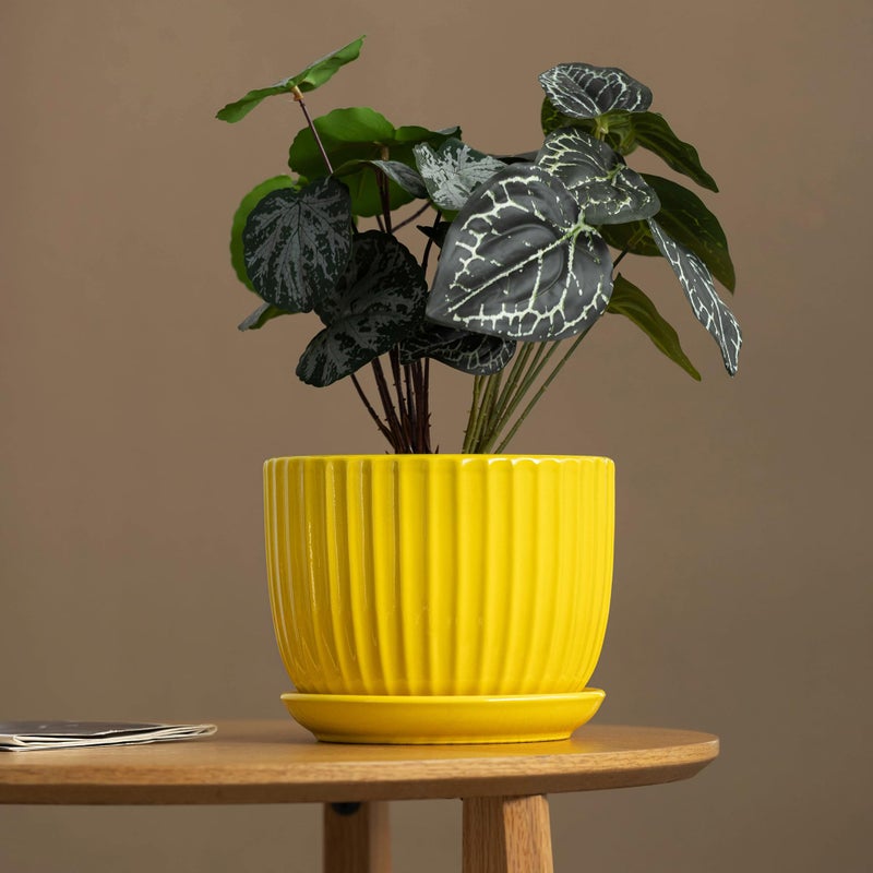 Ton Sin Ceramic Flower Pots,Yellow Plant Pots for Indoor Plants,4.1+5.1+6.5 inch Ceramic Plant Pots with Tray,Medium Indoor Planters for Aloe Cactus Decorative Pots with Drainage Hole (Set of 3) - Image 2