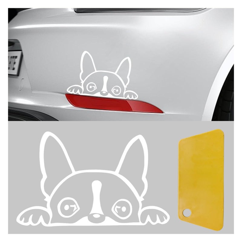 BDZMC Boston Terrier Dog Peeking Car Sticker 6 Inch Car Window Decal Clear PET Decoration Sticker for Car Truck Bumper Mirror Laptop Water Bottle White - Image 3