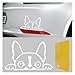 BDZMC Boston Terrier Dog Peeking Car Sticker 6 Inch Car Window Decal Clear PET Decoration Sticker for Car Truck Bumper Mirror Laptop Water Bottle White - Image 2