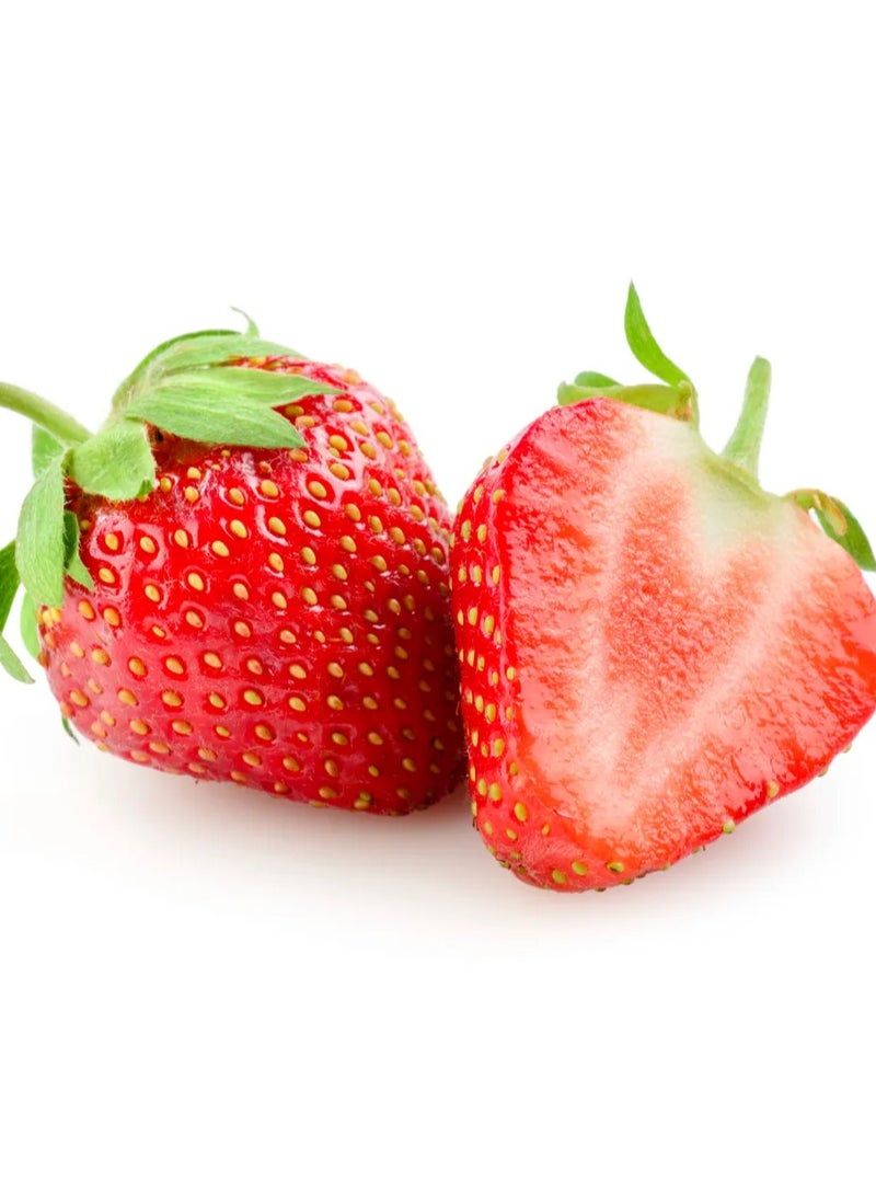 بصريا فيسلي سيترولين 200 جرام بنكهة الفراولة 66 حصة - Image 3