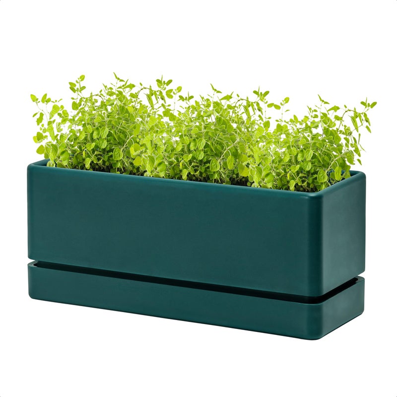 D'vine Dev 12 Inch Window Box Planter, Rectangle Plastic Herb Planter with Drainage Holes and Saucer, Indoor Succulent Cactus Vegetable Pot for Windowsill, Garden Balcony, Green, Set of 1, 76-X-C-1 - Image 1