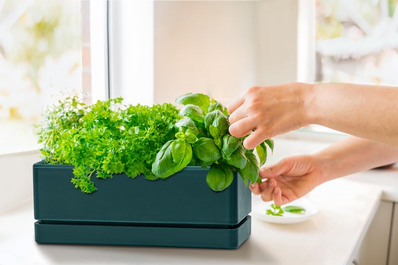 D'vine Dev 12 Inch Window Box Planter, Rectangle Plastic Herb Planter with Drainage Holes and Saucer, Indoor Succulent Cactus Vegetable Pot for Windowsill, Garden Balcony, Green, Set of 1, 76-X-C-1 - Image 2