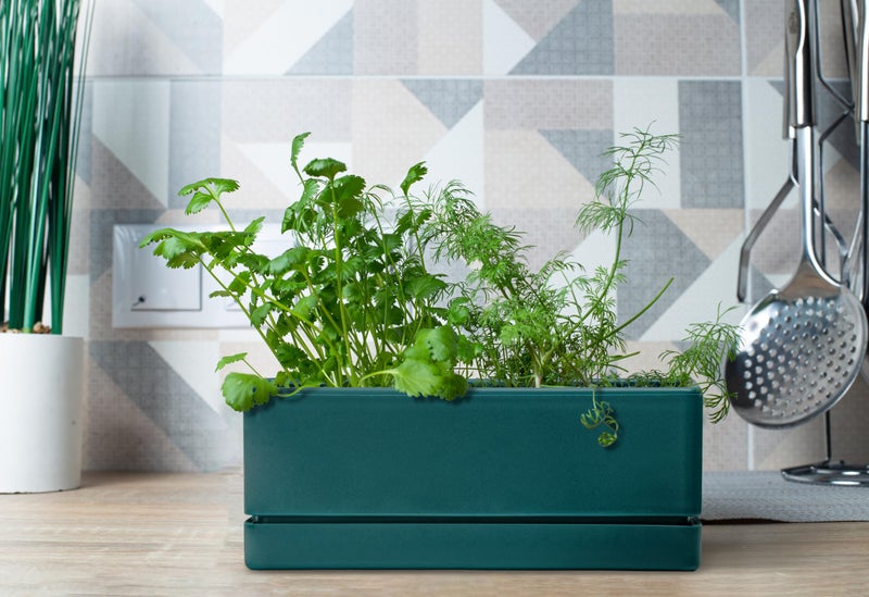 D'vine Dev 12 Inch Window Box Planter, Rectangle Plastic Herb Planter with Drainage Holes and Saucer, Indoor Succulent Cactus Vegetable Pot for Windowsill, Garden Balcony, Green, Set of 1, 76-X-C-1 - Image 5