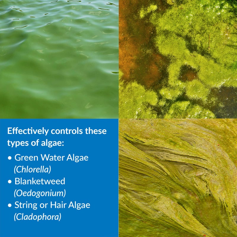 API POND ALGAEFIX (1 gallon) Pond Algae Control - Copper Free - Clean, Clear Water - Up to 38400 Gallons - Safe for Fish, Plants - Water Gardens, Fountains - Natural Active Ingredient - EPA-Registered - Image 2