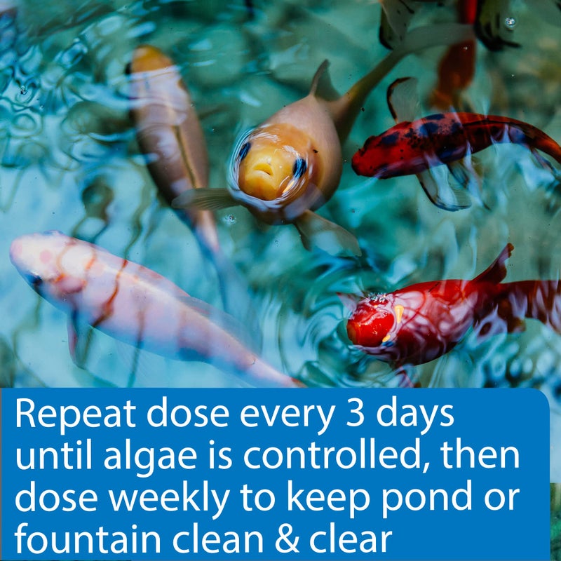 API POND ALGAEFIX (1 gallon) Pond Algae Control - Copper Free - Clean, Clear Water - Up to 38400 Gallons - Safe for Fish, Plants - Water Gardens, Fountains - Natural Active Ingredient - EPA-Registered - Image 4