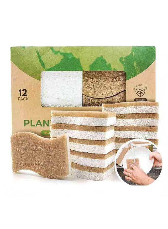 Pack of 12 Natural Kitchen Sponge, Eco-friendly Dish Sponge, Biodegradable Cellulose and Coconut Kitchen Sponges, Compostable Coconut Scrubber, Dual-Sided Dishwashing Cleaning Sponges, Pan Pot Scrubbers, Household Cleaning Sponge for Dishes - Image 1