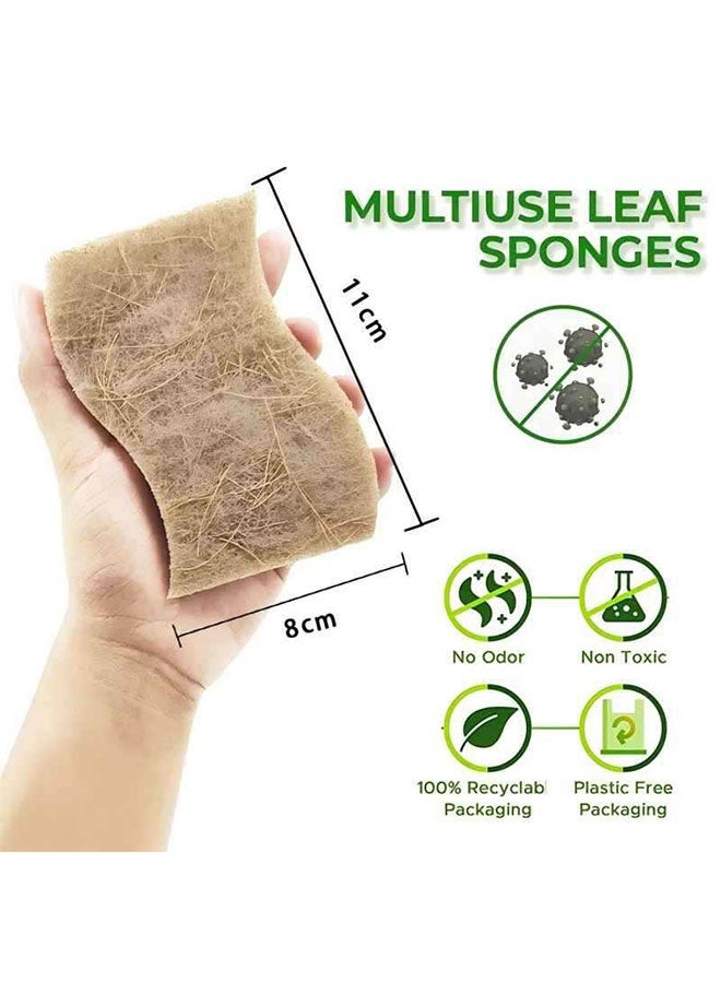 Pack of 12 Natural Kitchen Sponge, Eco-friendly Dish Sponge, Biodegradable Cellulose and Coconut Kitchen Sponges, Compostable Coconut Scrubber, Dual-Sided Dishwashing Cleaning Sponges, Pan Pot Scrubbers, Household Cleaning Sponge for Dishes - Image 4