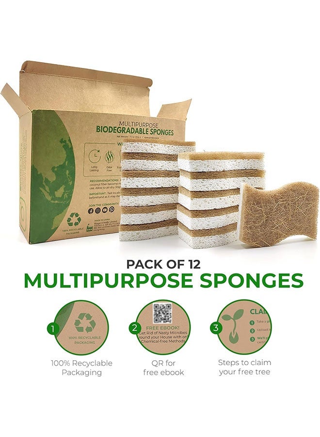 Pack of 12 Natural Kitchen Sponge, Eco-friendly Dish Sponge, Biodegradable Cellulose and Coconut Kitchen Sponges, Compostable Coconut Scrubber, Dual-Sided Dishwashing Cleaning Sponges, Pan Pot Scrubbers, Household Cleaning Sponge for Dishes - Image 3