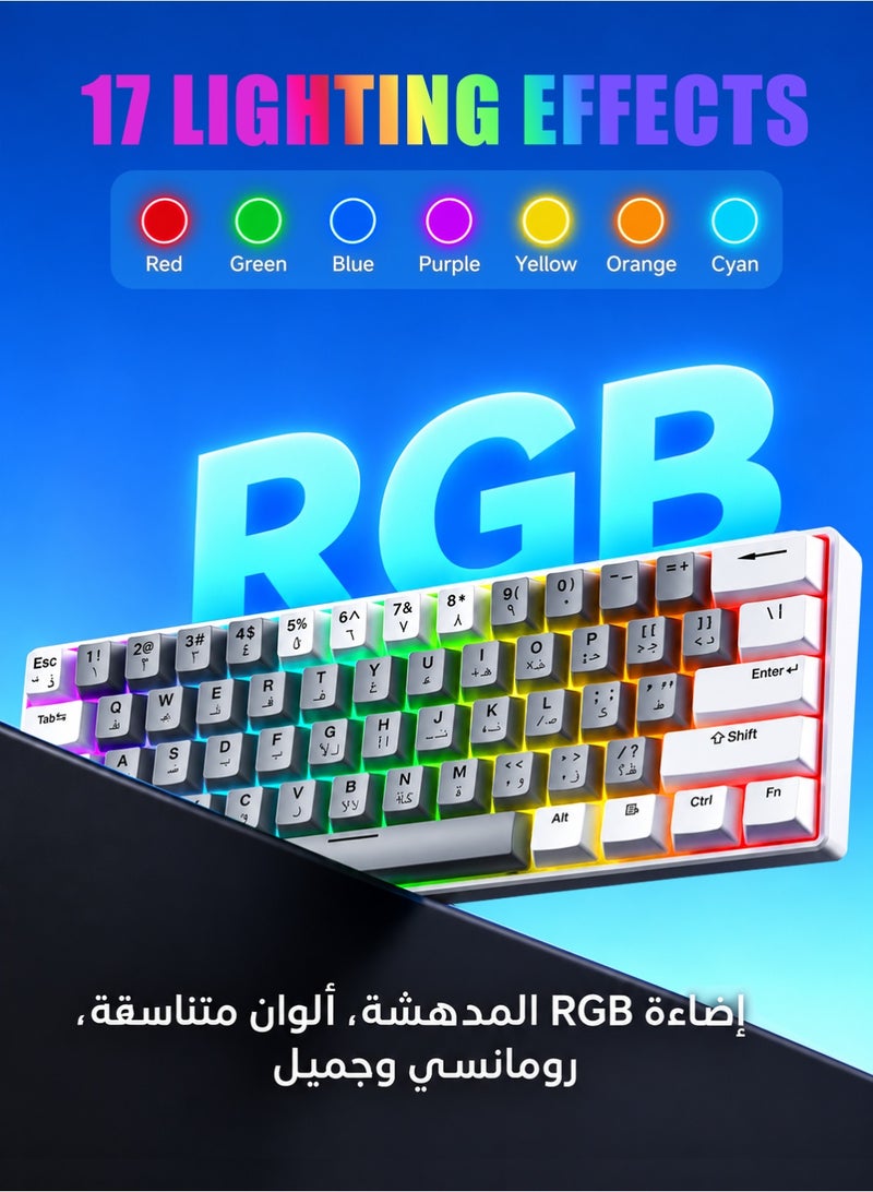 T-WOLF 61-Key RGB Mechanical Gaming Keyboard with Red Switches and 60% Compact Layout, Detachable Cable, 21-Key Anti-Ghosting, Ergonomic Design for PC and Mac Gamers - Image 3