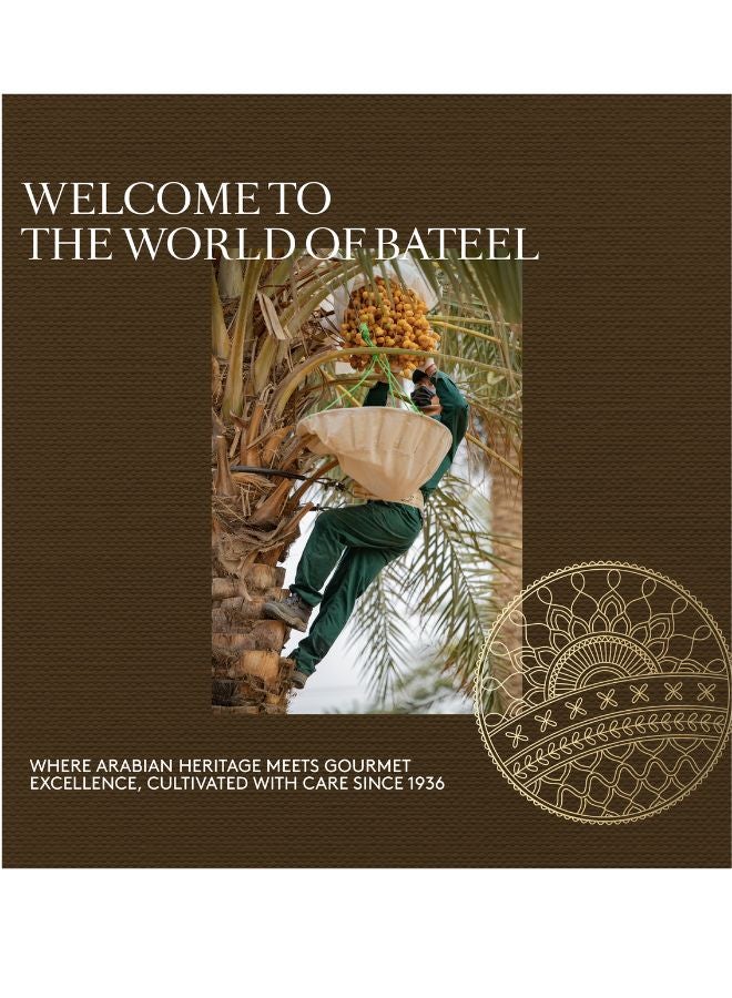 Bateel Assorted Premium Plain Dates Ballotin 1kg - Image 5