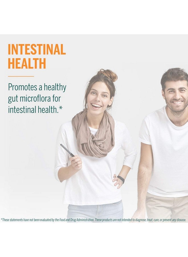 Genestra Brands جينسترا براندز HMF إنتنسيف | مكمل بروبيوتيك مستقر على الرف لدعم صحة الجهاز الهضمي، الراحة البطنية والميكروفلورا الصحية* | 25 كبسولة نباتية - Image 4