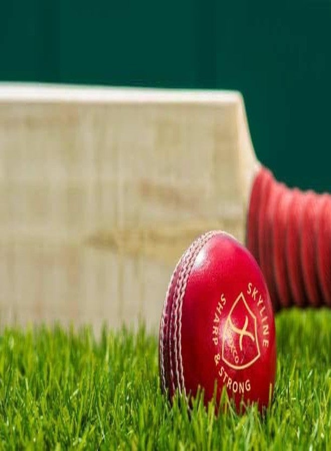 BOXCO Skyline Hand Stiched Four Piece Cricket Leather Ball for T20, One Day and Test Matches (50 Overs) (Red) (Pack of 1) - Image 3