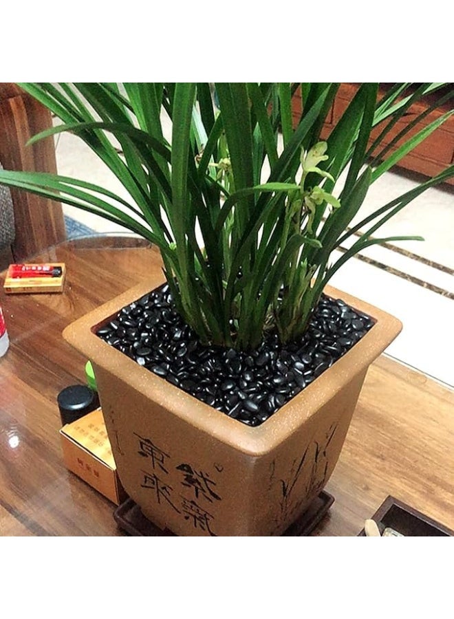 Black Decorative Medium Size Stones Smooth & Polished Pebbles for Aquarium Garden Landscaping Plants and Home Interior & Exterior Decoration Durable Rocks Gravel for Decor (Medium - 1kg) - Image 5