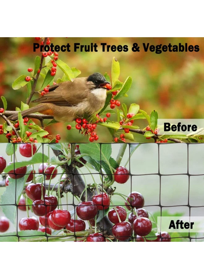 POYEE POYEE Garden Bird Netting - 13 x 50 FT Heavy Duty Garden Net Provide Better Protection for Vegetables and Fruit Trees - Against Birds, Deer and Other Pests  - Image 3