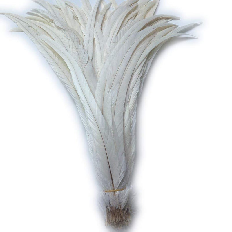 Shekyeon 1618inch 4045cm Rooster Coque Tail Feather for Costume Decoration Pack of 20 BeigeIvory