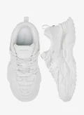 سيليست WHITE