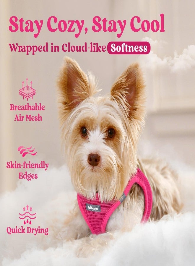 رابيتجو سرج صغير للكلاب من رابيت جو، سترة شبكية ناعمة سهلة الارتداء للجراء مع مشبك أمان، سرج عاكس للضوء يسمح بمرور الهواء للحيوانات الأليفة، مناسب للكلاب الصغيرة جدًا، لون أحمر وردي مقاس XXS - Image 2